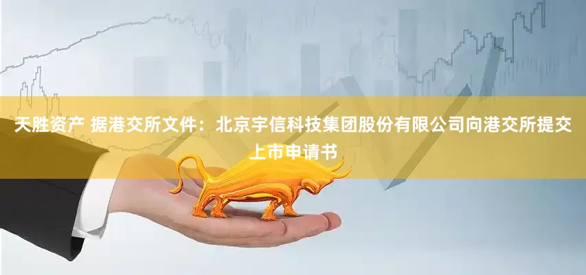 天胜资产 据港交所文件：北京宇信科技集团股份有限公司向港交所提交上市申请书