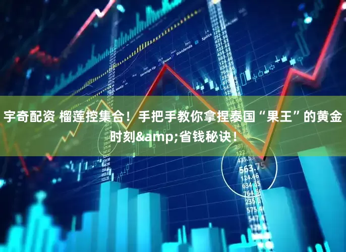 宇奇配资 榴莲控集合！手把手教你拿捏泰国“果王”的黄金时刻&省钱秘诀！
