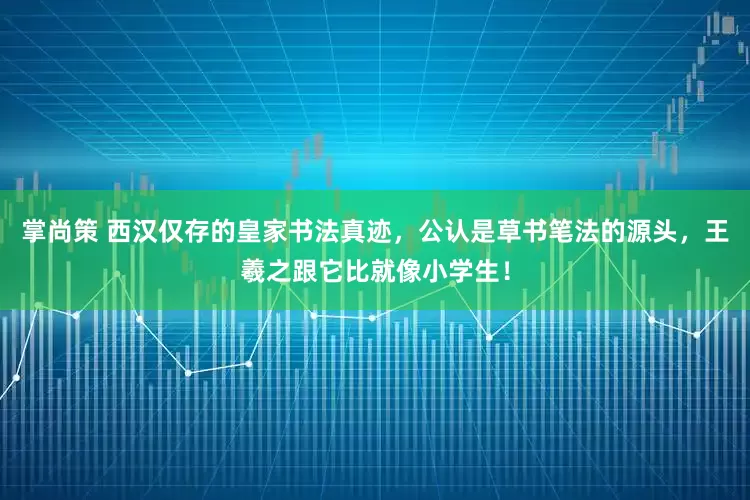 掌尚策 西汉仅存的皇家书法真迹，公认是草书笔法的源头，王羲之跟它比就像小学生！