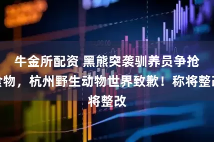 牛金所配资 黑熊突袭驯养员争抢食物，杭州野生动物世界致歉！称将整改